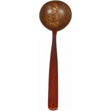 Coconut shell spoon with rosewood handle CCNSPOON001