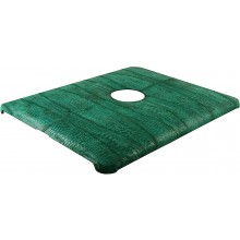Genuine chicken / hen leather iPad case IPAD-HEN01 Green