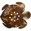 Coconut shell hand carved soap dish CCNSOAP001