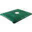 Genuine chicken / hen leather iPad case IPAD-HEN01 Green