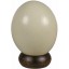 Genuine ostrich egg OSEGG001