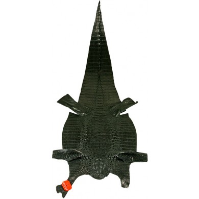 Genuine alligator hornback skin ALSK01HB Black