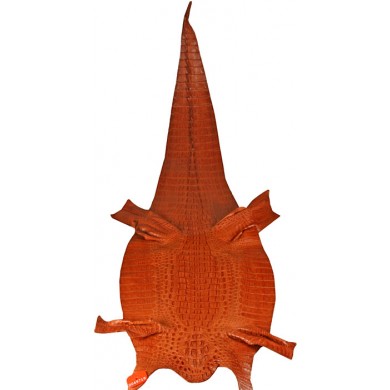 Genuine alligator hornback skin ALSK01HB Tan