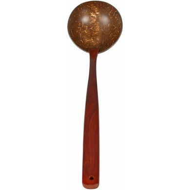 Coconut shell spoon with rosewood handle CCNSPOON001
