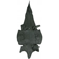 Genuine alligator belly skin ALSK02BL Black