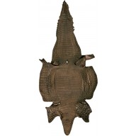 Genuine alligator belly skin ALSK02BL Brown