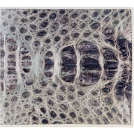 Genuine alligator leather wallet CW101-03 Natural