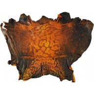 Genuine frog / toad skin FROGSK01 Buttercup
