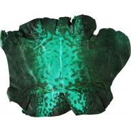 Genuine frog / toad skin FROGSK01 Emerald Green