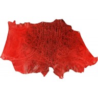 Genuine frog / toad skin FROGSK02 Red