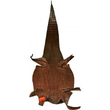 Genuine alligator hornback skin ALSK01HB Brown