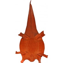 Genuine alligator hornback skin ALSK01HB Tan