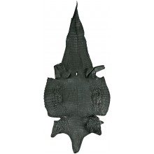 Genuine alligator belly skin ALSK02BL Black
