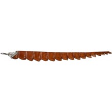 Genuine crocodile key chain CRKCH001 Safari