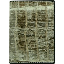 Genuine alligator leather card holder CM01T Natural