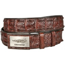 Genuine crocodile leather double row hornback belt CRBD1-5 Brown