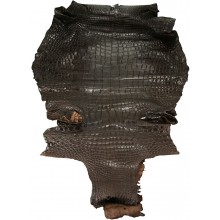 Genuine crocodile skin CROCSK-MT Oak
