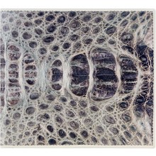 Genuine alligator leather wallet CW101-03 Natural