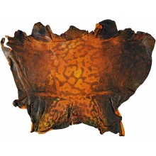 Genuine frog / toad skin FROGSK01 Buttercup