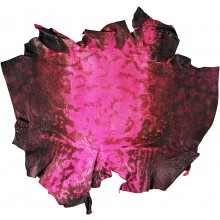 Genuine frog / toad skin FROGSK01 Fuxia