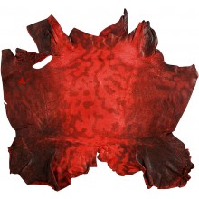 Genuine frog / toad skin FROGSK01 Red