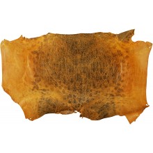 Genuine frog / toad skin FROGSK02 Buttercup