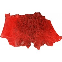 Genuine frog / toad skin FROGSK02 Red