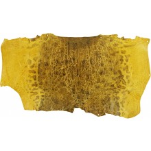 Genuine frog / toad skin FROGSK02 Yellow