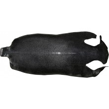 Genuine stingray skin STSKIN2-SAL Black. Long shape, sanded