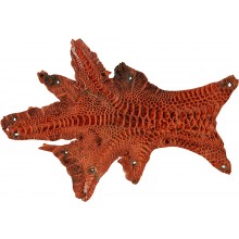 Genuine hen skin HSKIN01 Reddish Brown