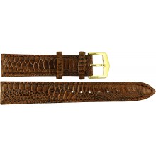 Exotic store watch bands