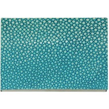 Genuine stingray leather card holder NB25-1SA Turquoise