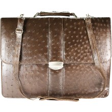 Genuine ostrich leather briefcase OSBRIEF8801 Brown