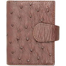 Genuine ostrich leather card holder OSCC001 Brown
