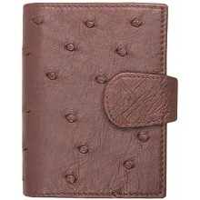 Genuine ostrich leather exclusive card holder OSCC501E Brown