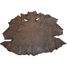 Genuine ostrich skin OSSKIN001 Brown