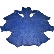 Genuine ostrich skin OSSKIN001 Midnight Blue