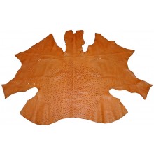 Genuine ostrich skin OSSKIN001 Peanut