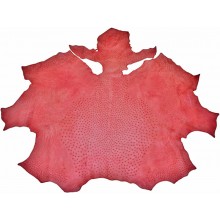 Genuine ostrich skin OSSKIN001 Pink