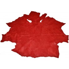 Genuine ostrich skin OSSKIN001 Red