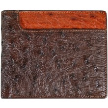 Genuine ostrich leather wallet OSW2-580A Brown