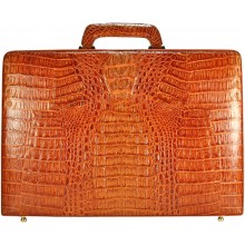 snakeskin briefcase