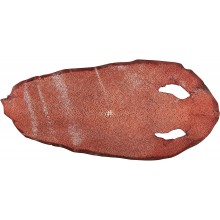 Genuine stingray skin STSKIN2-SAR Burgundy DP022