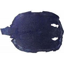 Genuine stingray skin STSKIN4-R Dark Blue D025. Round shape, not sanded.