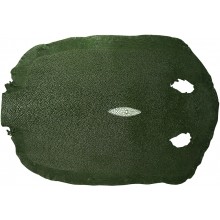 Genuine stingray skin STSKIN-R Dark Green D001. Round shape, not sanded.