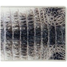 Genuine alligator leather wallet USCM7T03 Natural