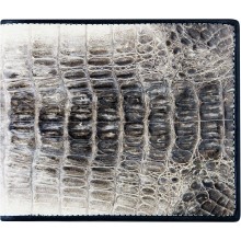 Genuine alligator leather wallet USCM7T08 Natural