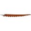 Genuine crocodile key chain CRKCH001 Safari