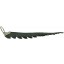 Genuine crocodile leather tail key chain CRKCH001 Black