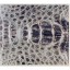 Genuine alligator leather wallet CW101-03 Natural